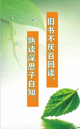 校园文化励志走廊标语挂画
