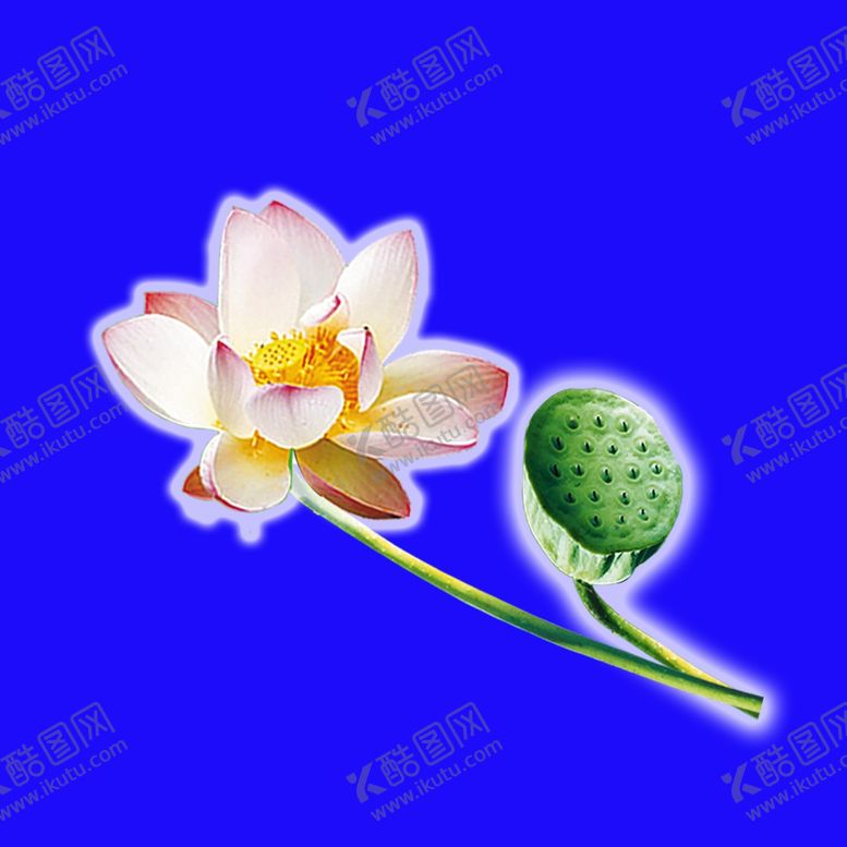 荷花古画其他图片素材300分辨率