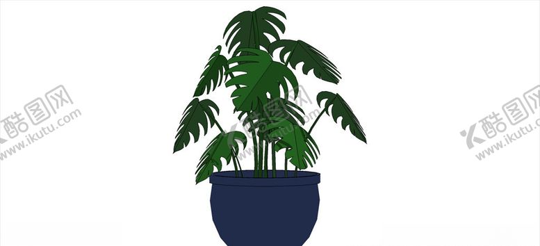 编号：31200109132352245872【酷图网】源文件下载-阔叶盆栽