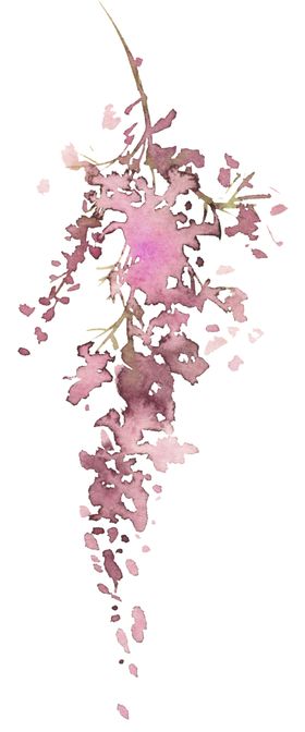 花卉树叶