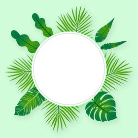 小清新树叶边框