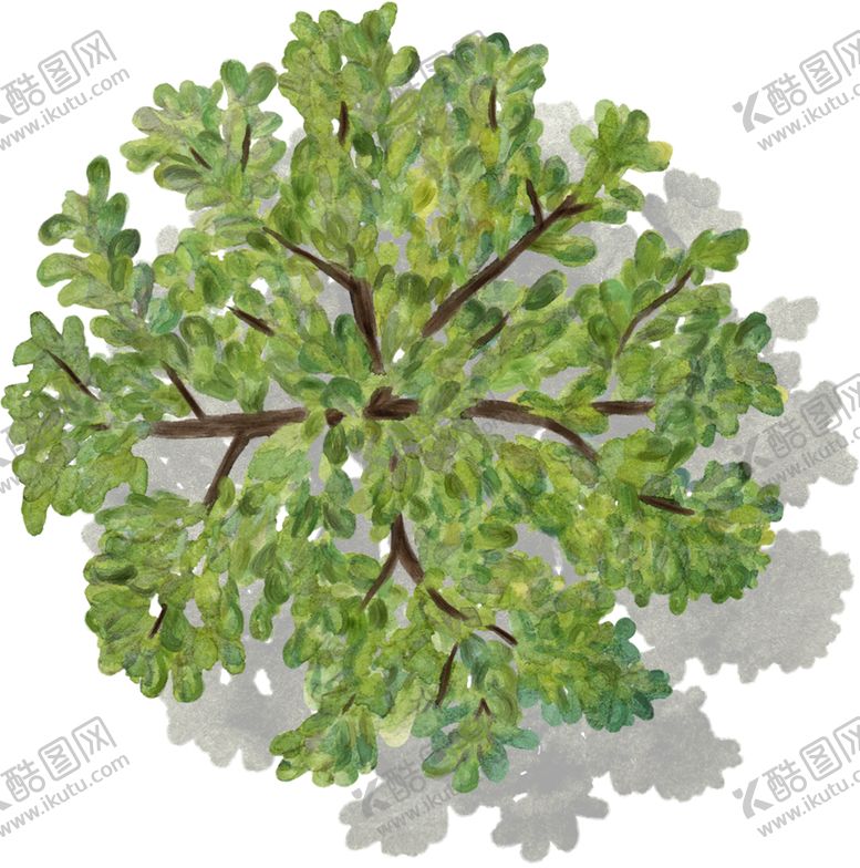 编号：72940604170141061968【酷图网】源文件下载-手绘植物