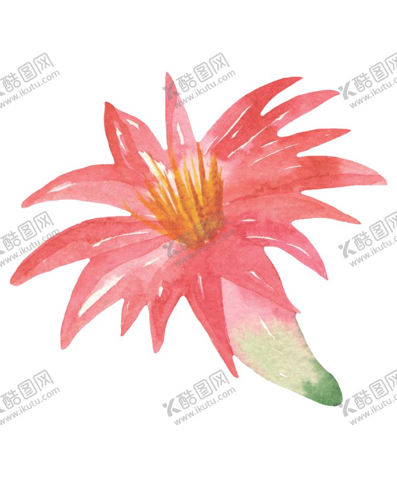 编号：31027110110826596046【酷图网】源文件下载-水彩植物花朵图案