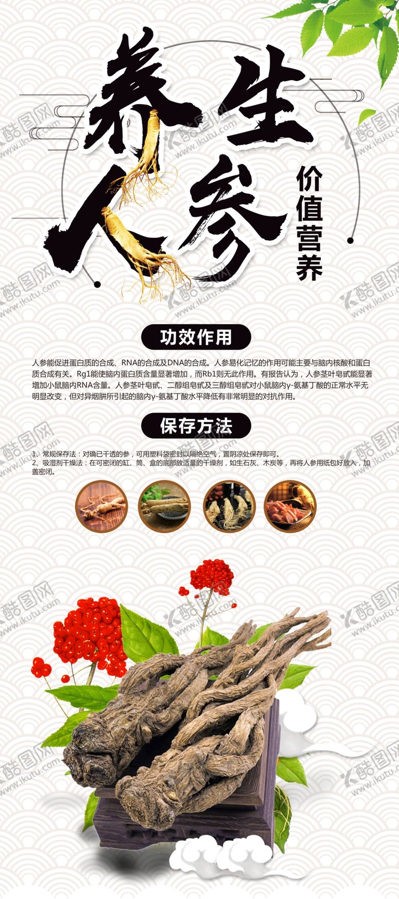 编号：37164809150432175435【酷图网】源文件下载-养生人参