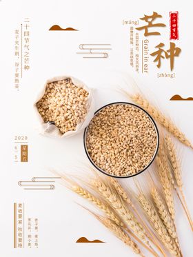 芒种背景稻田朋友圈文案宣传