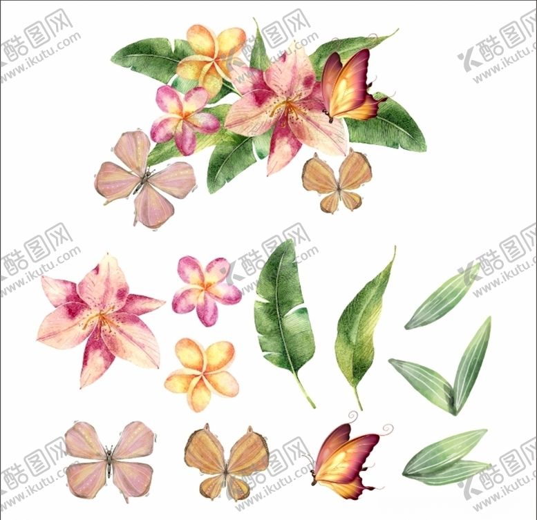 编号：49688409141045429582【酷图网】源文件下载-植物水彩图案