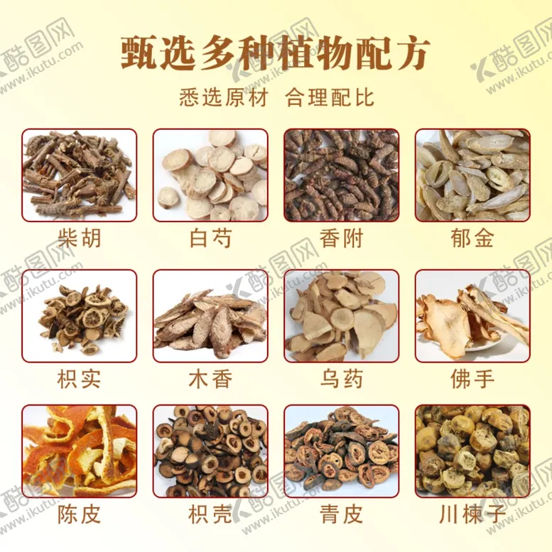 编号：14772001271519206161【酷图网】源文件下载-药材主图