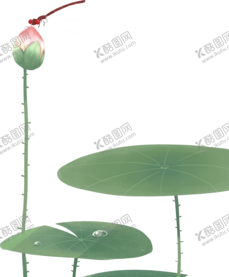 编号：21471610211534015986【酷图网】源文件下载-荷花元素