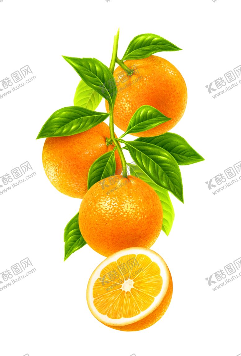 编号：60654409270919426113【酷图网】源文件下载-橙子