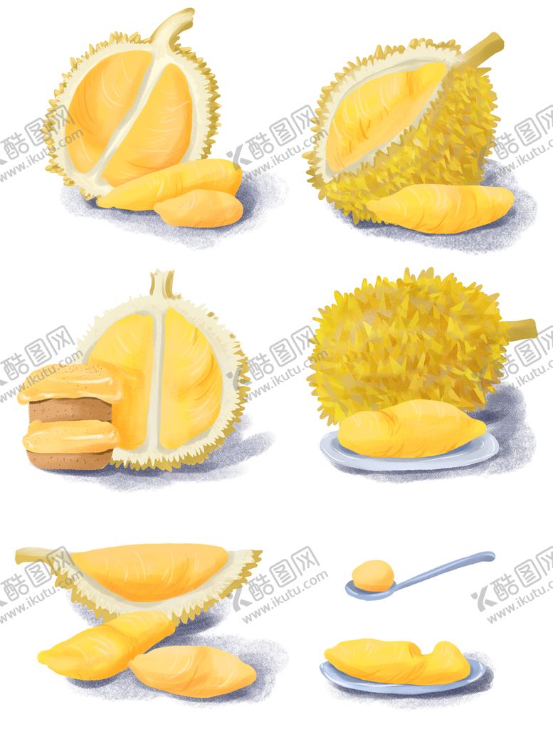 编号：23009810152309482850【酷图网】源文件下载-榴莲插画元素素材