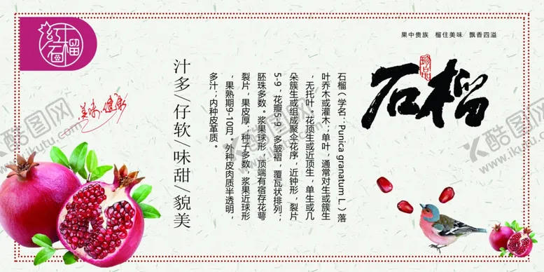编号：70452901270953505103【酷图网】源文件下载-石榴展板