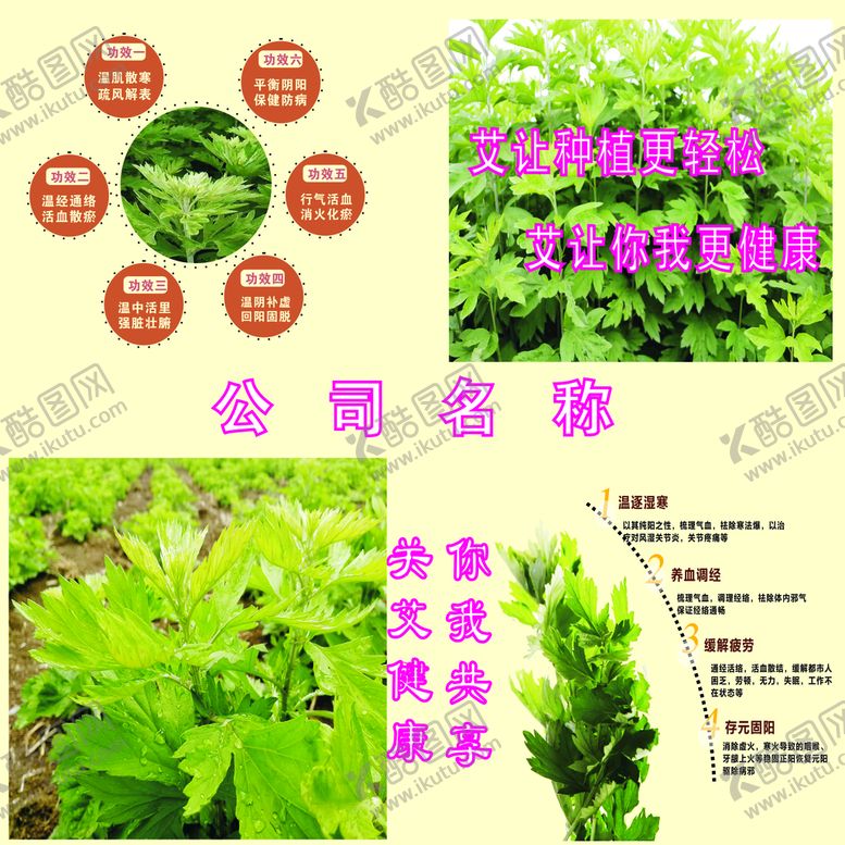 编号：71108601251407411494【酷图网】源文件下载- 艾草背景图