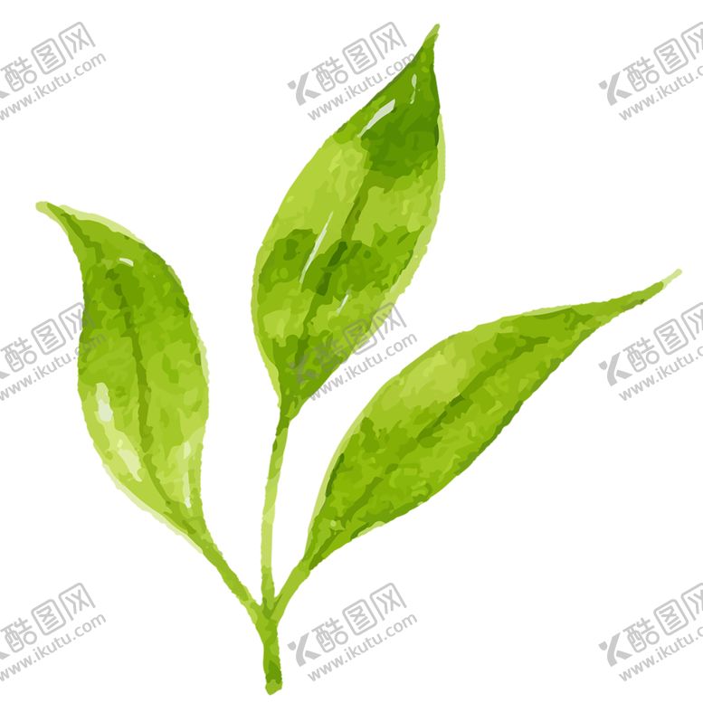 编号：68393807042115319054【酷图网】源文件下载-绿色装饰