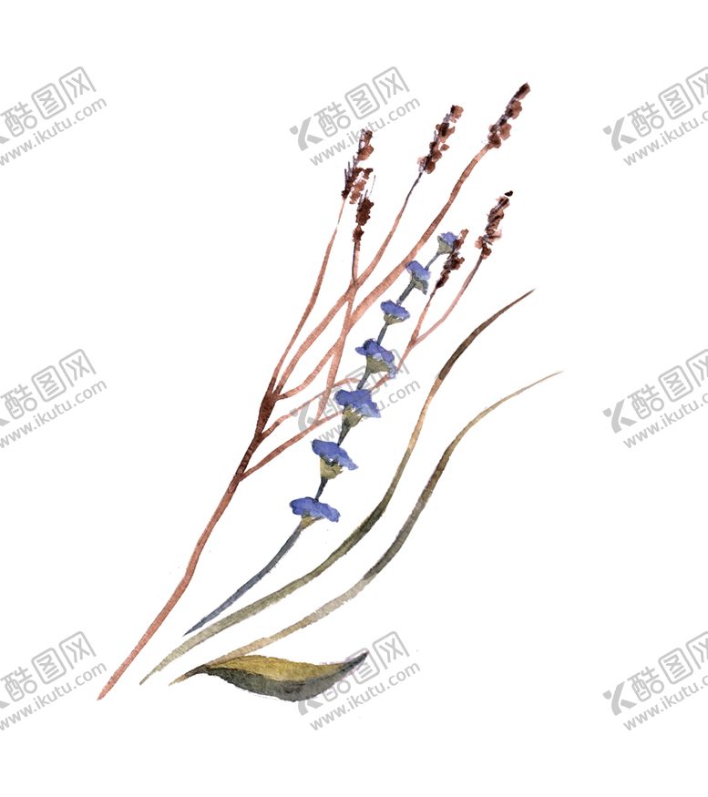 编号：85682709260858136787【酷图网】源文件下载-手绘植物