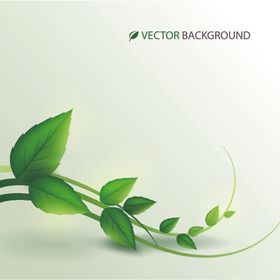 渐变花边线条花纹纹理花纹素材