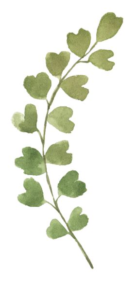 手绘植物花卉