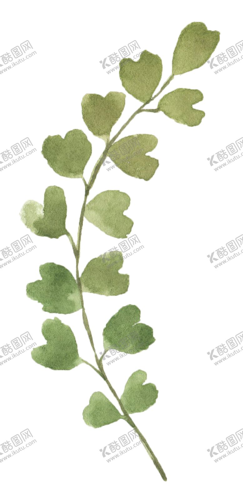 编号：40962106170938127846【酷图网】源文件下载-手绘植物花卉