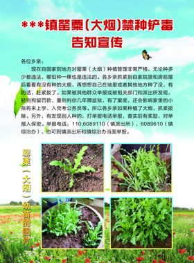 禁毒宣传页