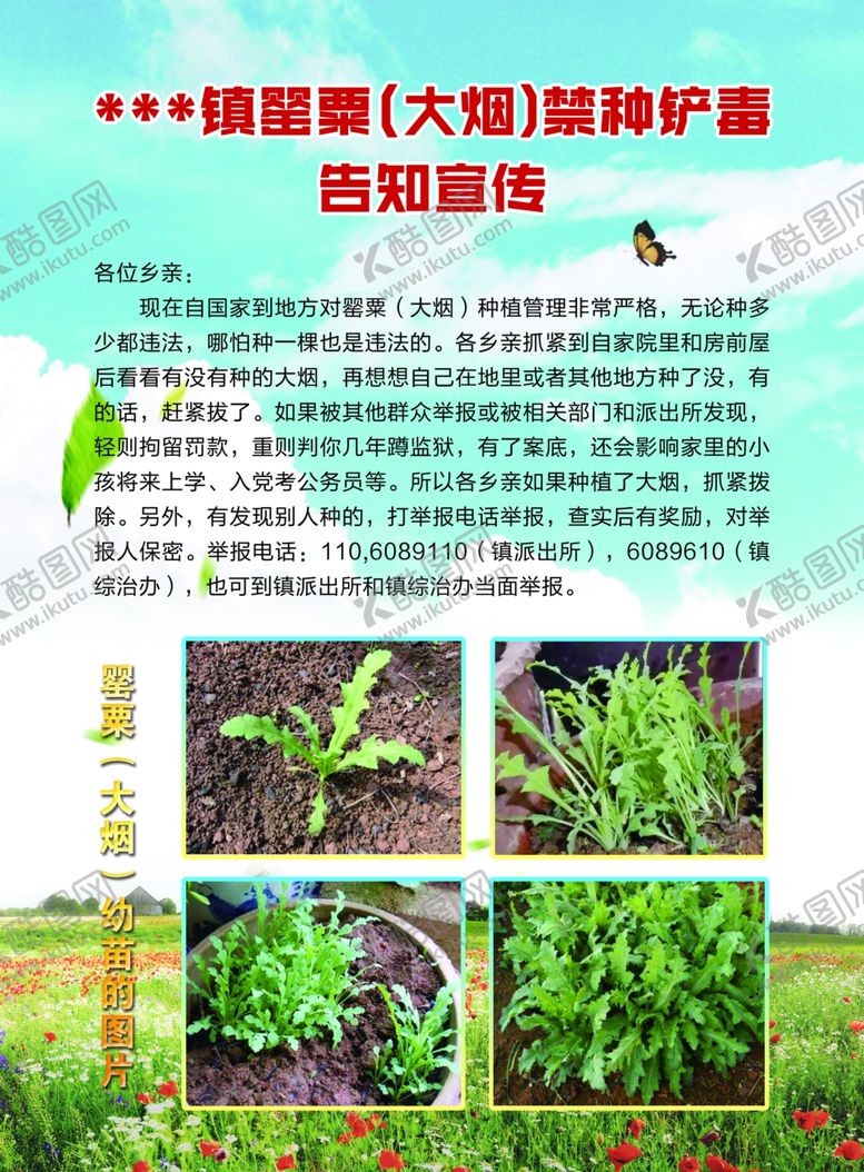 编号：84952706262007054204【酷图网】源文件下载-禁毒宣传页