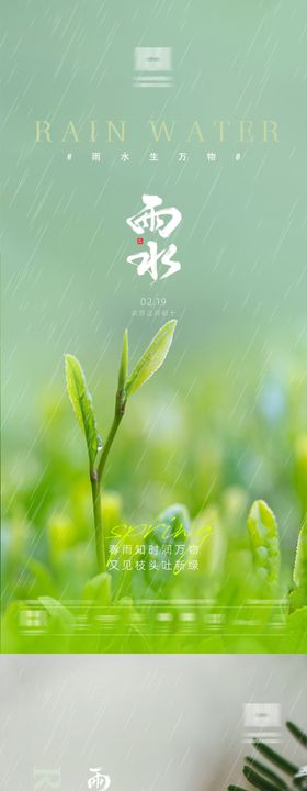 雨水节气移动端海报