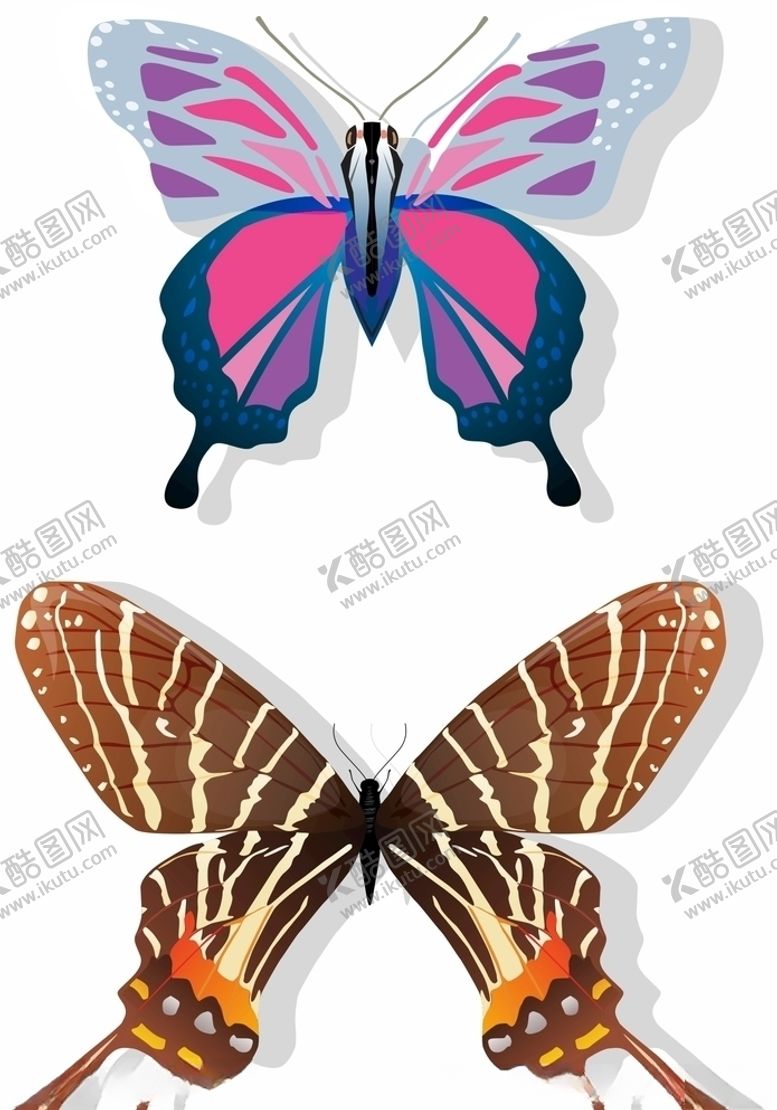 编号：85511404192201327904【酷图网】源文件下载-蝴蝶矢量