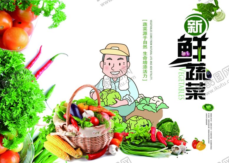 编号：45198209200855193129【酷图网】源文件下载-田园鲜蔬