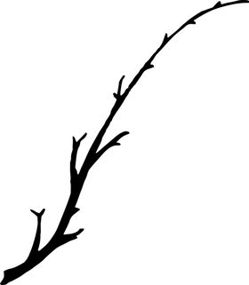 叶子枝干素材