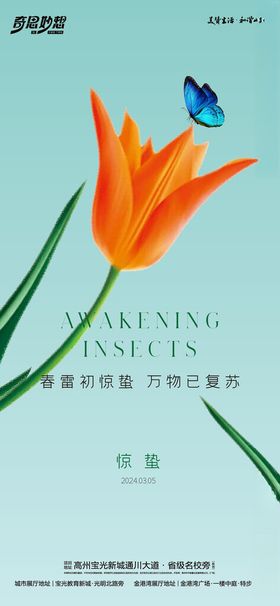 惊蛰节气海报蝴蝶二十四艺术兰花