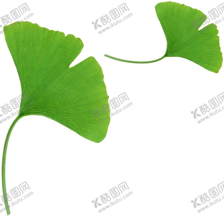 编号：74804407122326257765【酷图网】源文件下载-绿色装饰