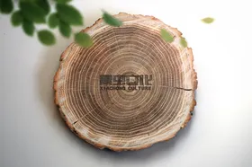 木质菜板样机