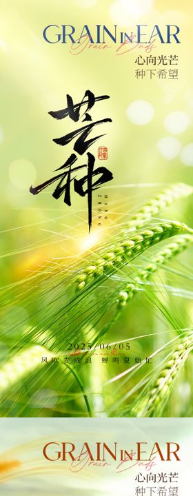 芒种二十四节气地产海报