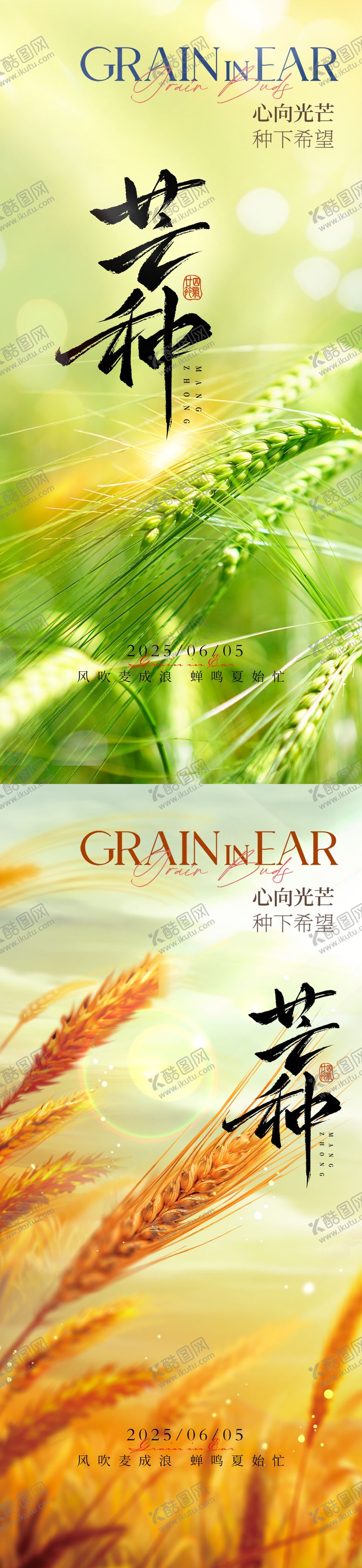 编号：96245806151057171343【酷图网】源文件下载-芒种二十四节气地产海报