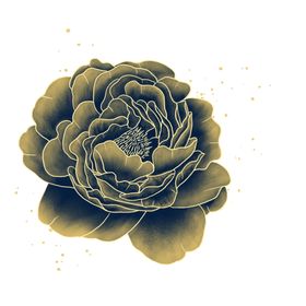 牡丹花