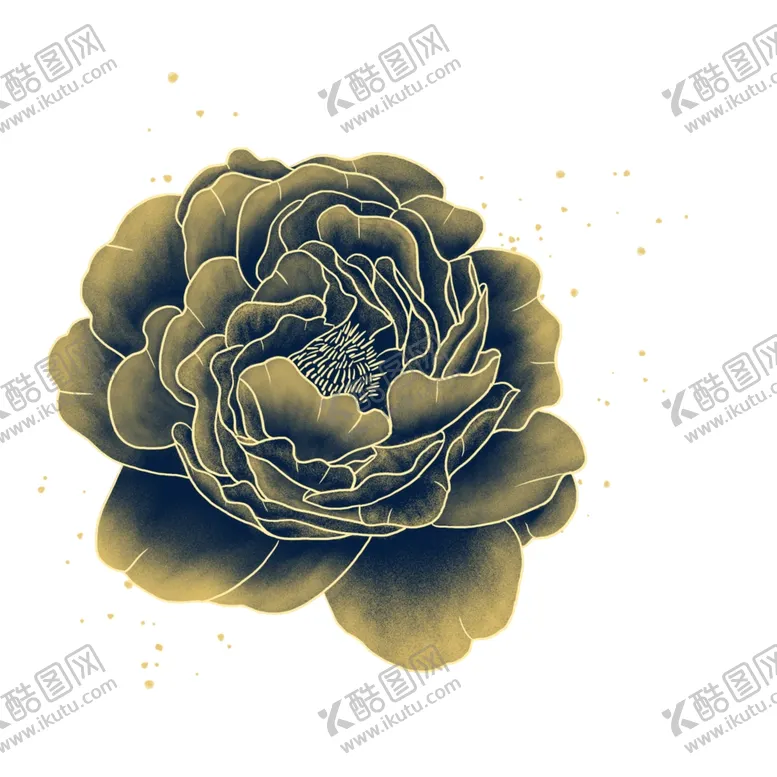 编号：84196305061229146123【酷图网】源文件下载-牡丹花