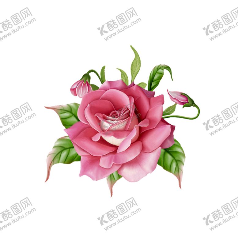 编号：67637010060417291330【酷图网】源文件下载-玫瑰花装饰素材