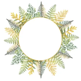 蕨类植物插画素材树叶
