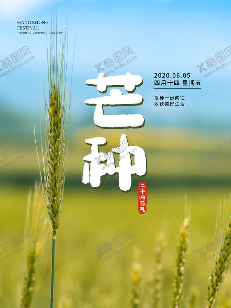 编号：06273409152323228536【酷图网】源文件下载-芒种种植稻子