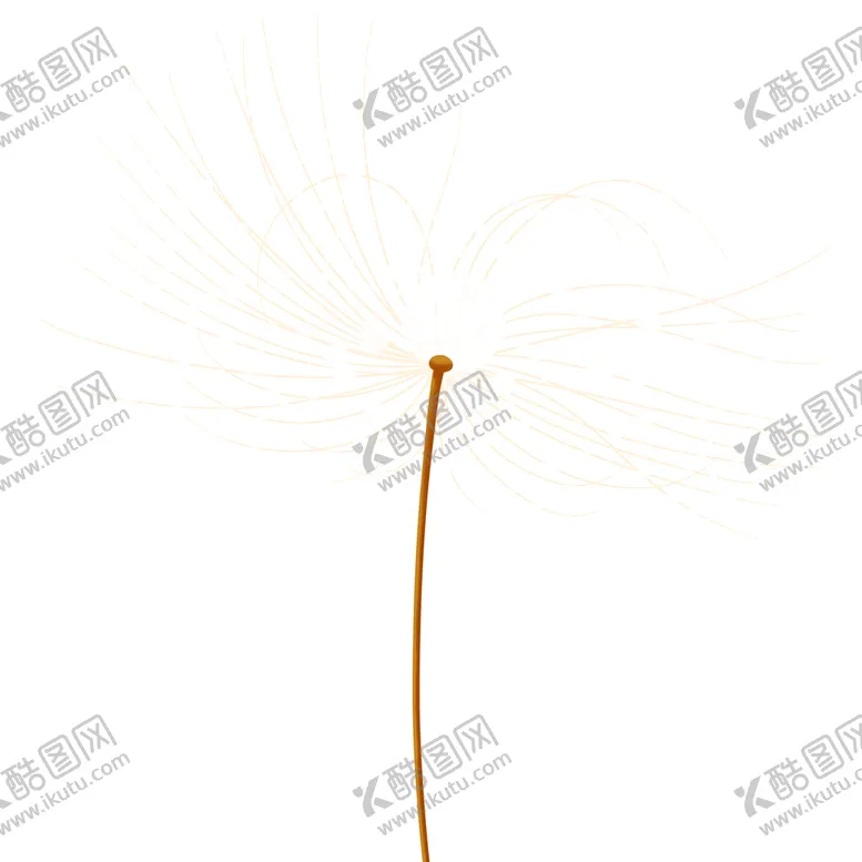 编号：02869409230848113547【酷图网】源文件下载-蒲公英毛绒上的水珠