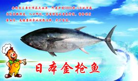 海鲜海报城金枪鱼吃宣传