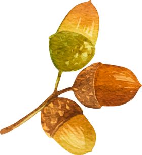 水彩植物