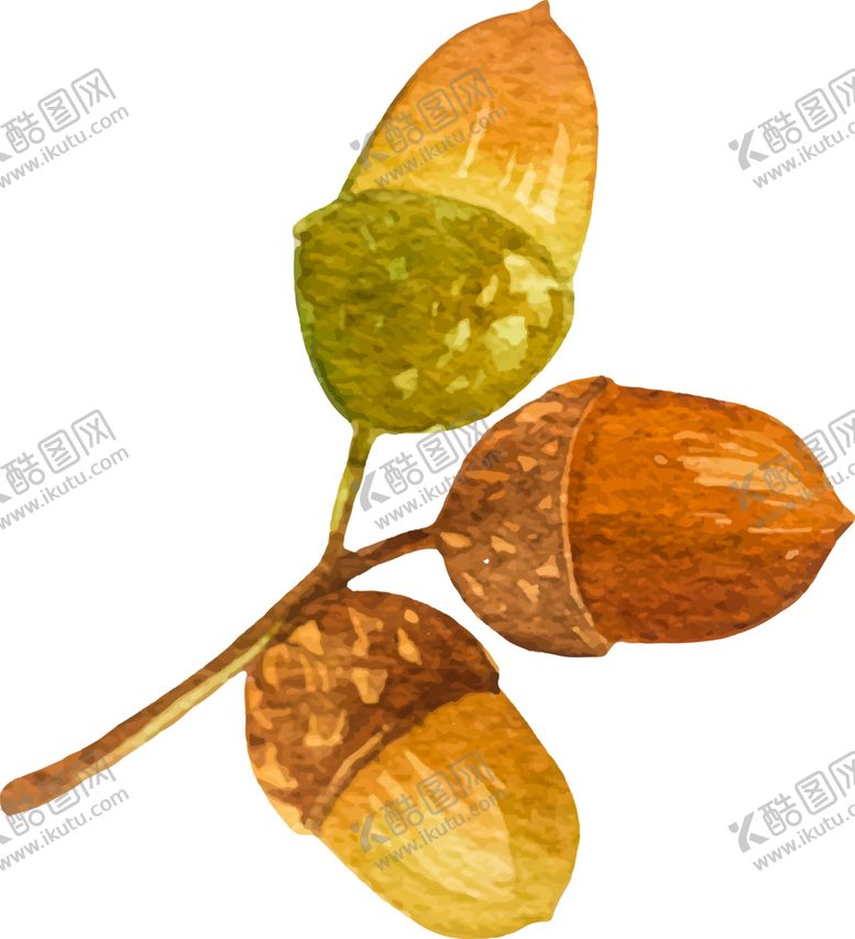 编号：26167407040221274369【酷图网】源文件下载-水彩植物