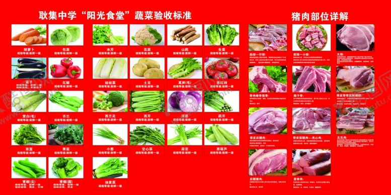 编号：79574106291838284403【酷图网】源文件下载-阳光食堂验收标准