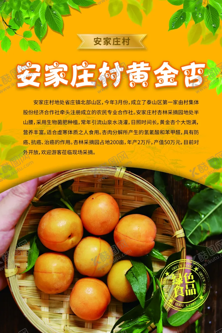 编号：11746606251508242866【酷图网】源文件下载-安家庄村杏