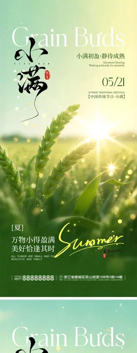 小满节气宣传海报