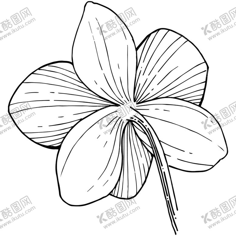 编号：84671010020921030674【酷图网】源文件下载-植物白描速写    
