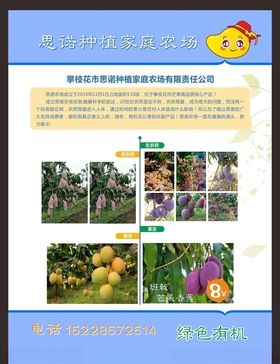 芒果单页