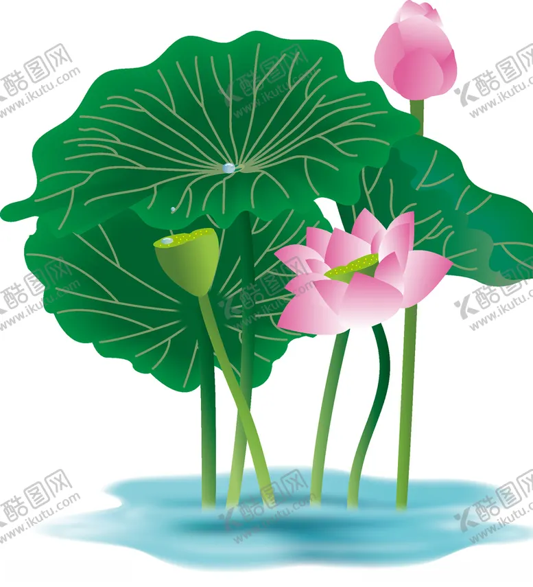 编号：35243303220829533185【酷图网】源文件下载-荷花