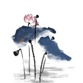 荷花素材中国风叶插画夏天夏至背景