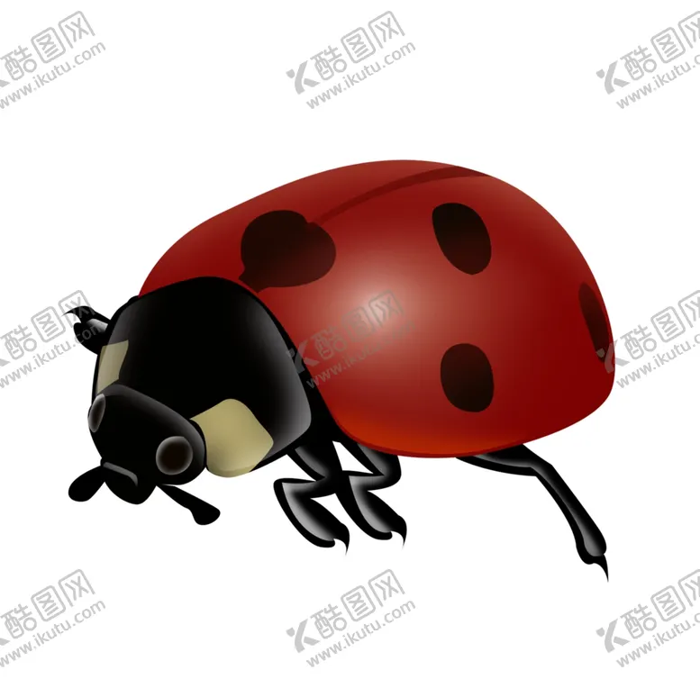 编号：34027404081703467348【酷图网】源文件下载-插画七星瓢虫