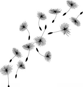 矢量蒲公英插图